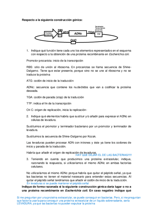 Miniatura del documento actividad-temas-1-3-2425.pdf