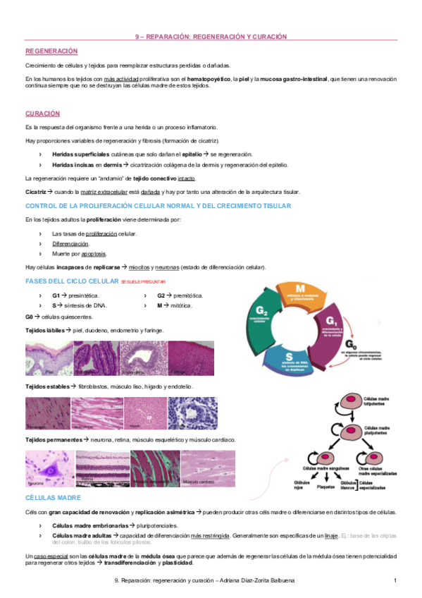 Miniatura del documento 9-Reparacion-regeneracion-y-curacion.pdf