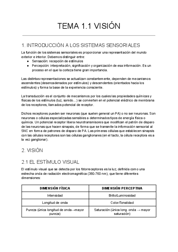 Miniatura del documento TEMA-1.-VISION-COMPLETO.pdf