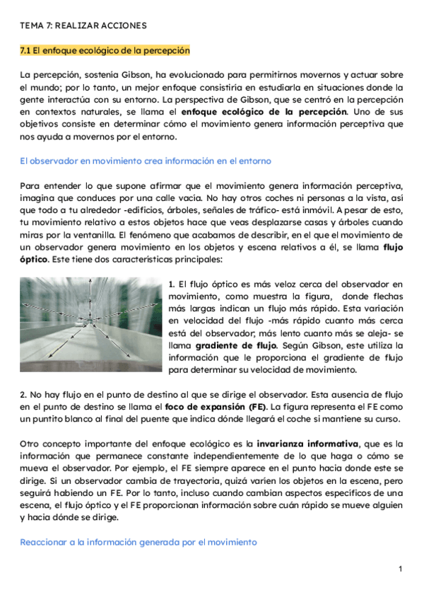 Miniatura del documento Percepcion-tema-7-2024-2025.pdf