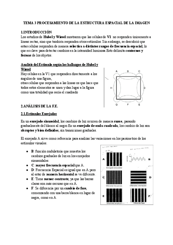 Miniatura del documento Tema-3-Procesamiento-de-la-estructura-espacial-de-la-imagen.pdf