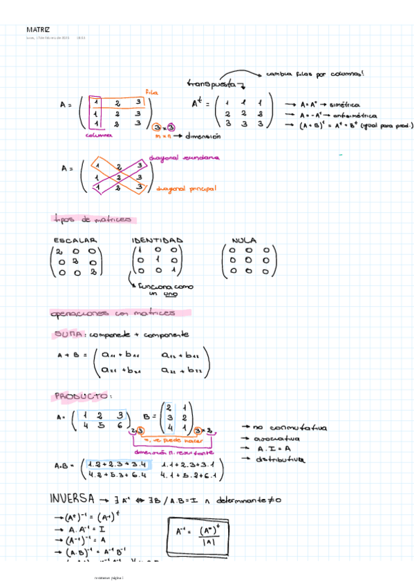 Miniatura del documento RESUMEN-MATRICES-basico.pdf