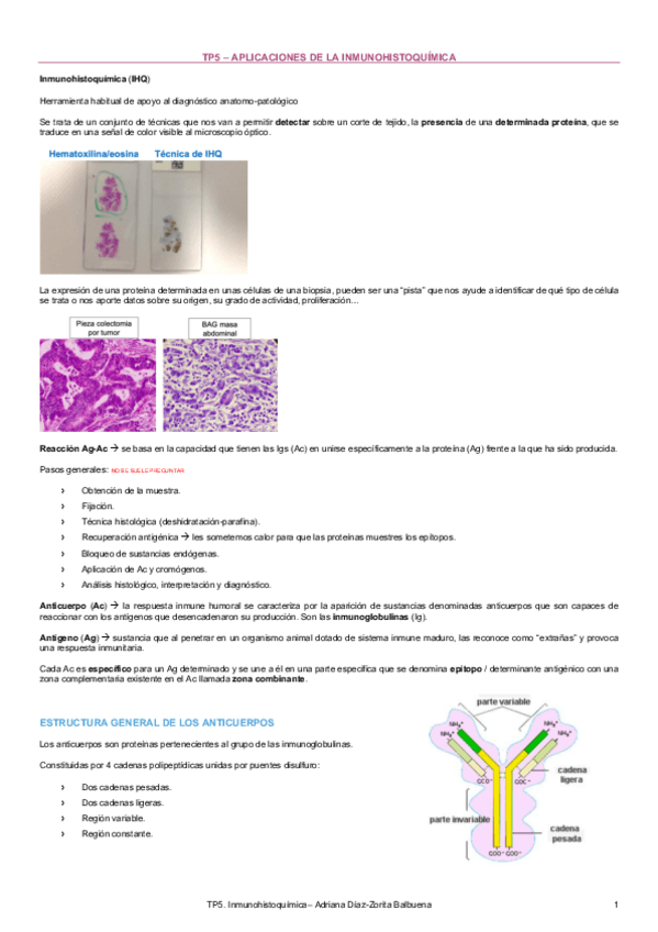 Miniatura del documento TP5-Inmunohistoquimica.pdf