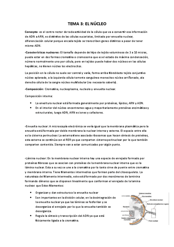 Miniatura del documento cito-tema-3.pdf