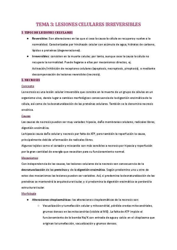 Miniatura del documento Tema-3-APG.pdf