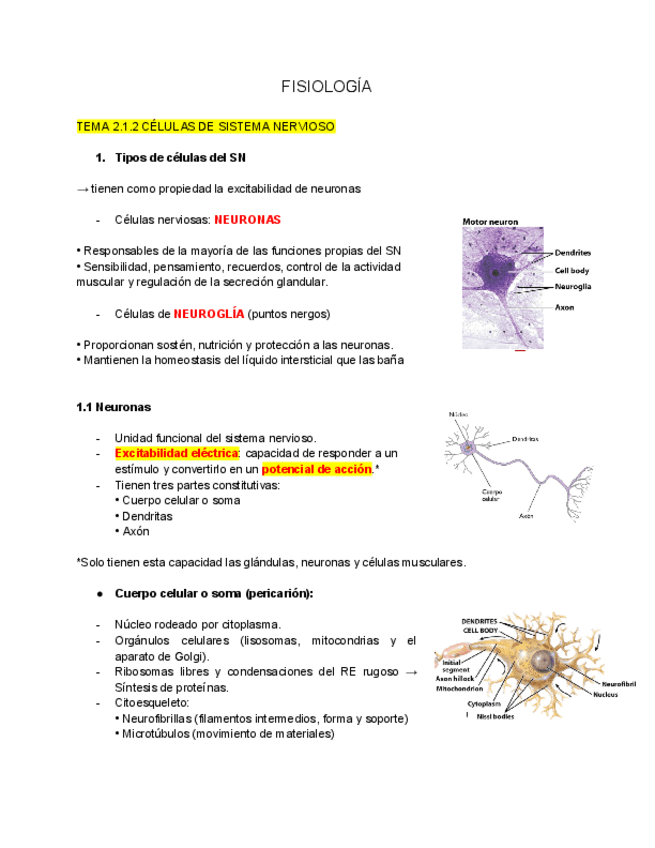 Miniatura del documento TEMA-2.1.2.pdf