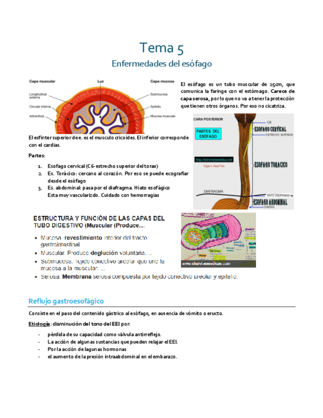Miniatura del documento 5 esofago.pdf