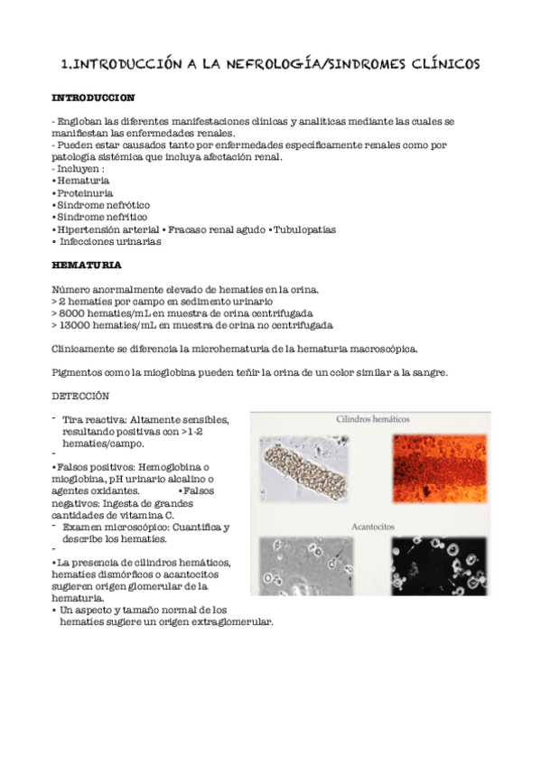 Miniatura del documento 1-sindromes-clinicos-en-nefrologia.pdf