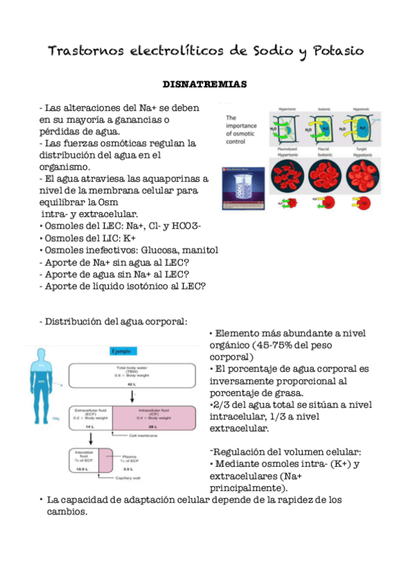 Miniatura del documento 3..Trastornos-electroliticos.pdf