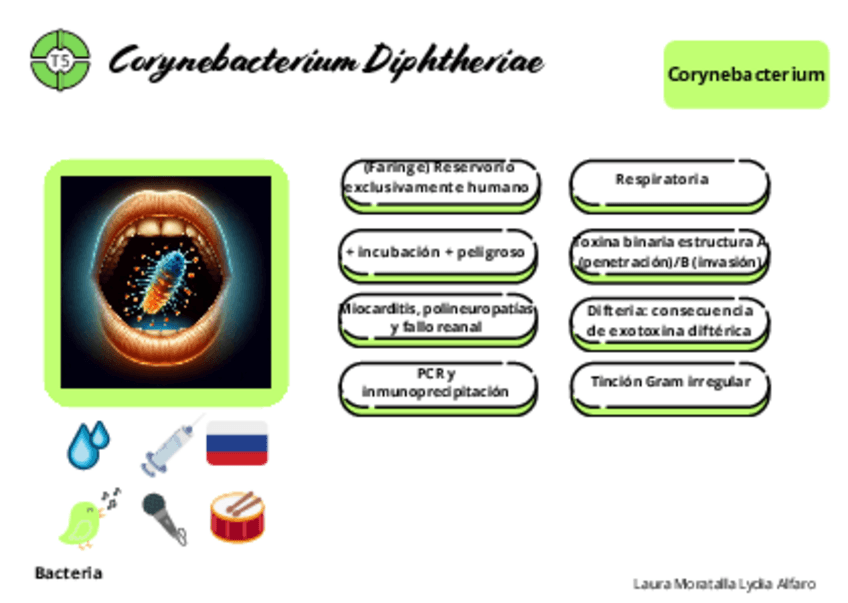 Miniatura del documento Tarjetas-micro-tema-5.pdf