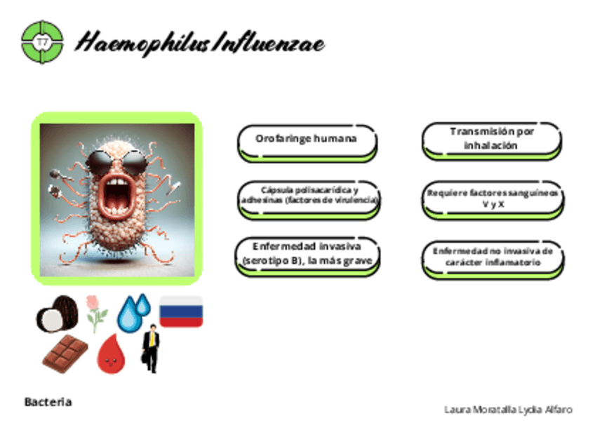 Miniatura del documento Tarjetas-micro-tema-7.pdf
