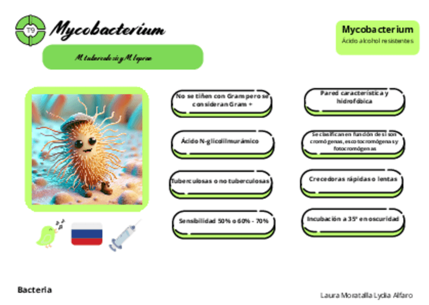 Miniatura del documento Tarjetas-micro-tema-9.pdf