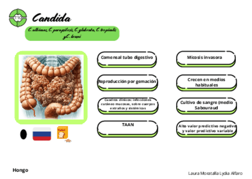 Miniatura del documento Tarjetas-micro-tema-10.pdf