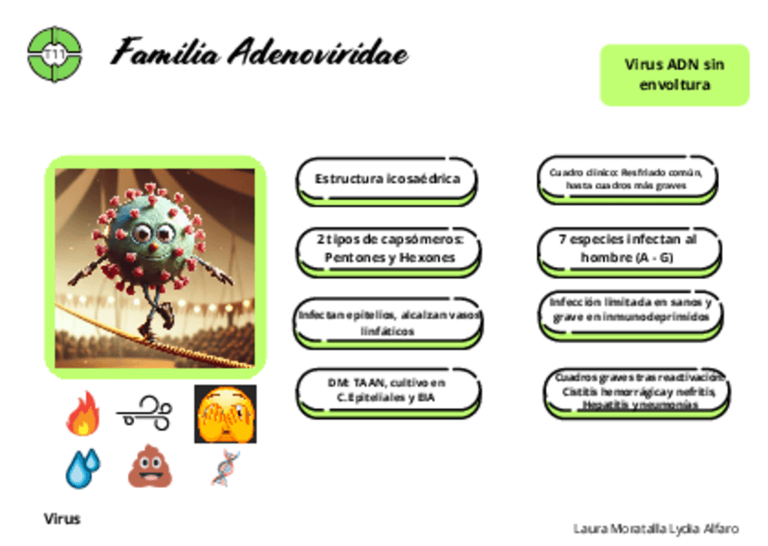 Miniatura del documento Tarjetas-micro-tema-11.pdf