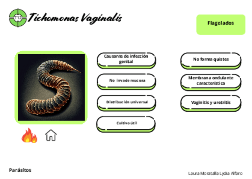 Miniatura del documento Tarjetas-micro-tema-12.pdf
