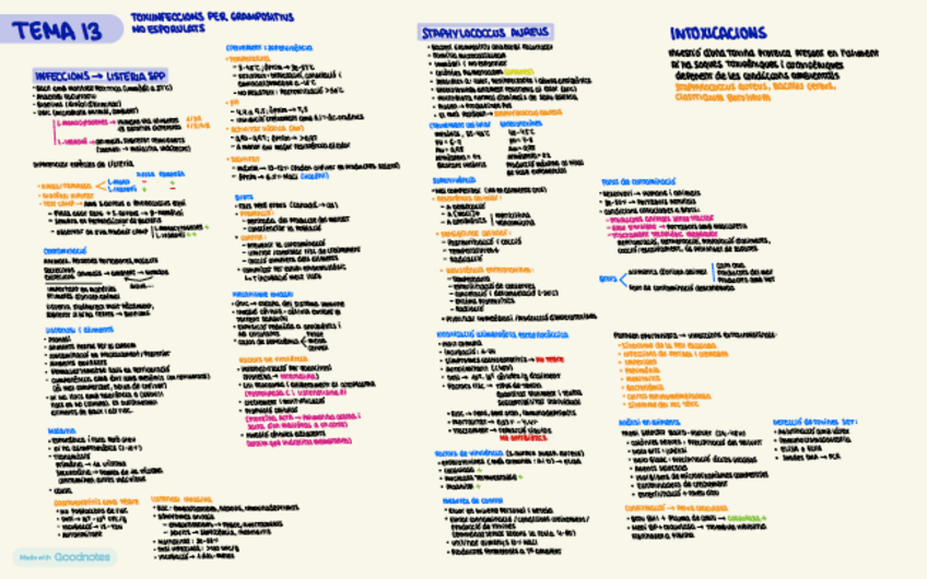 Miniatura del documento MicroAlimentsTEMA13.pdf