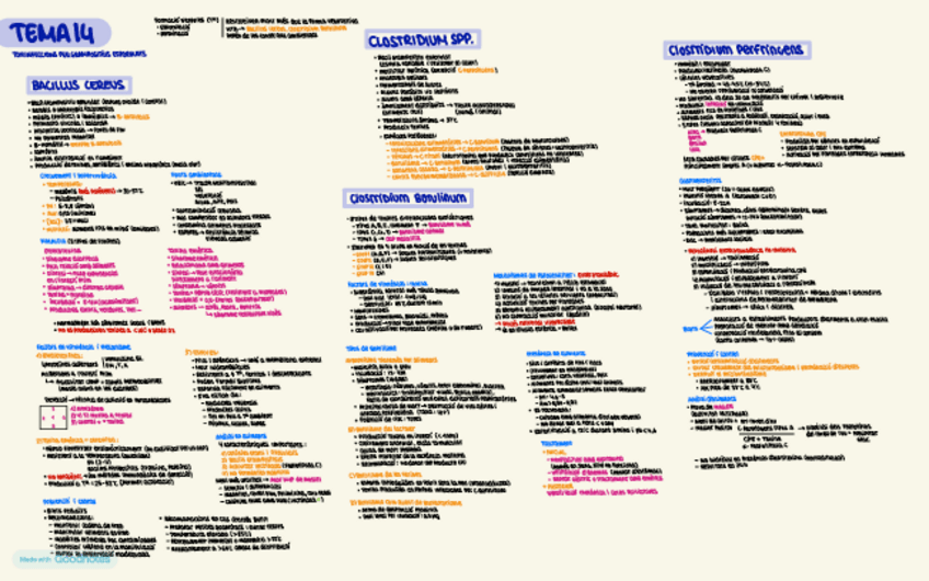 Miniatura del documento MicroAlimentsTEMA14.pdf