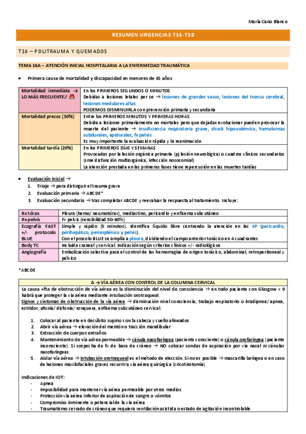 Miniatura del documento RESUMEN-URG-manual--diapos-T16-T20.pdf