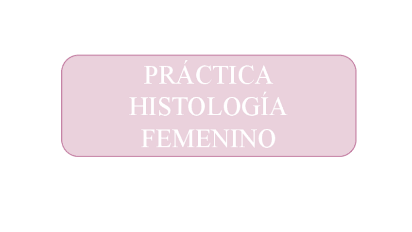 Miniatura del documento HISTOLOGIA-FEMENINO.pdf