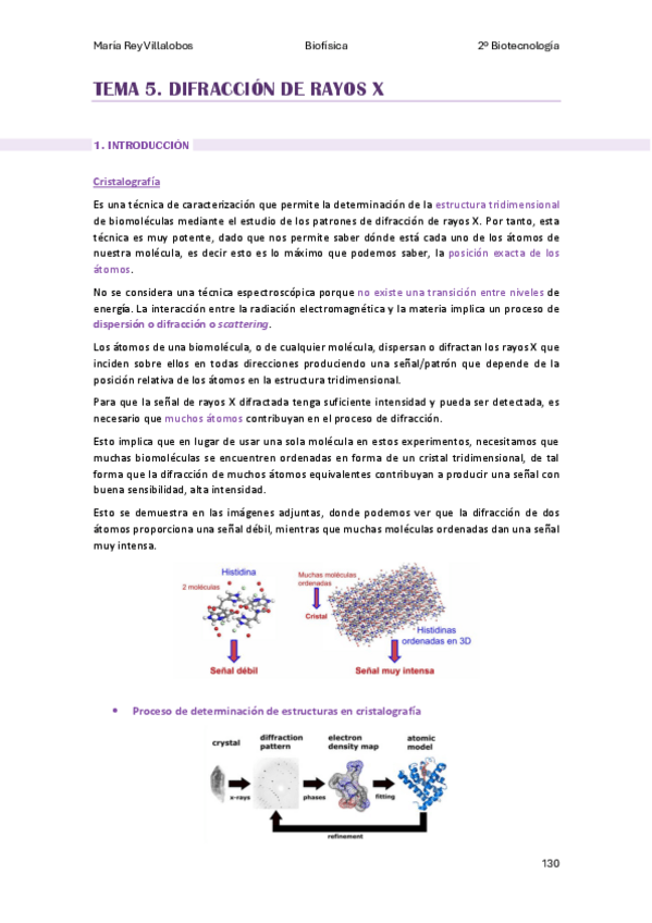 Miniatura del documento TEMA-5-BF-II.pdf