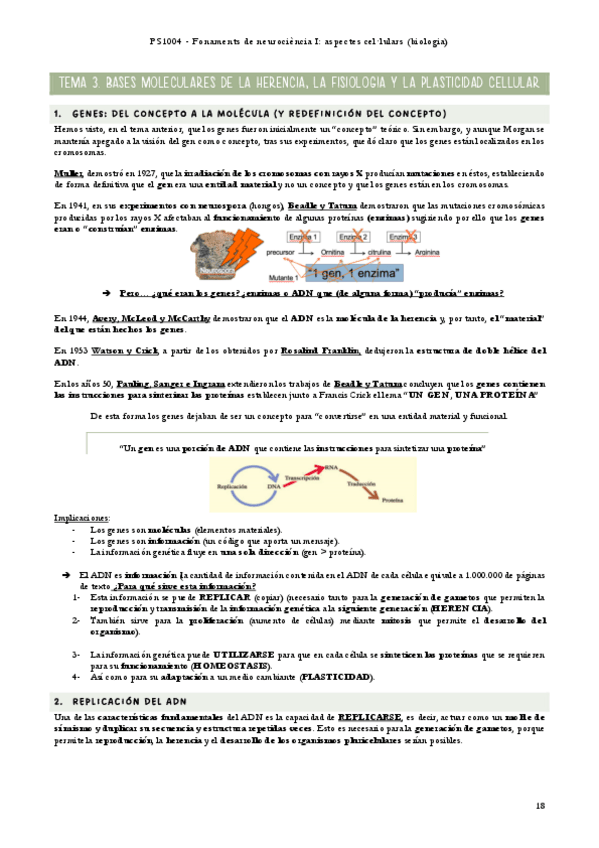 Miniatura del documento fundamentos-tema-3.pdf