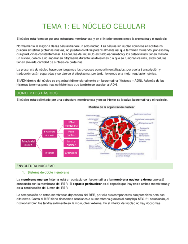 Miniatura del documento Biologia-celular-aplicada-complejo.pdf