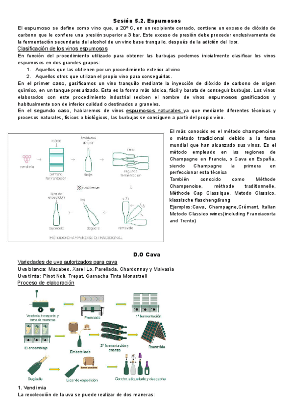Miniatura del documento Sesion-5.2.-Espumosos.pdf