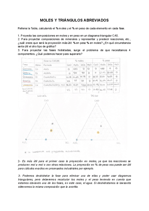 Miniatura del documento Seminario-IV-Moles-y-triangulos-abreviados.pdf