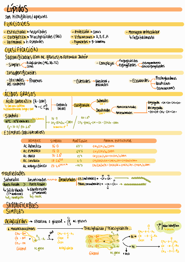 Miniatura del documento T2-Lipidos.pdf