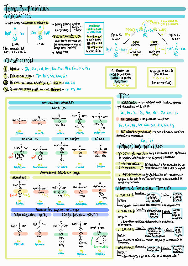 Miniatura del documento T3-Proteinas.pdf