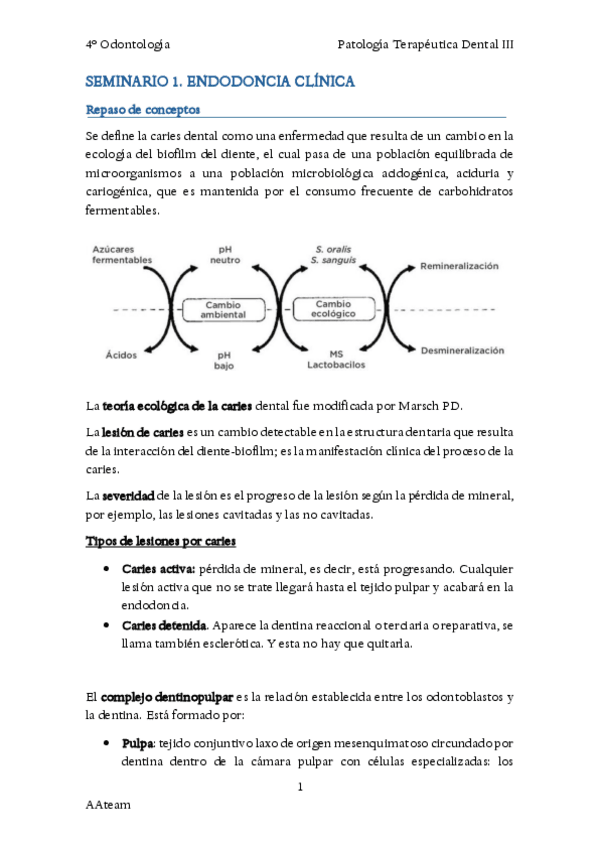 Miniatura del documento Seminarios.pdf