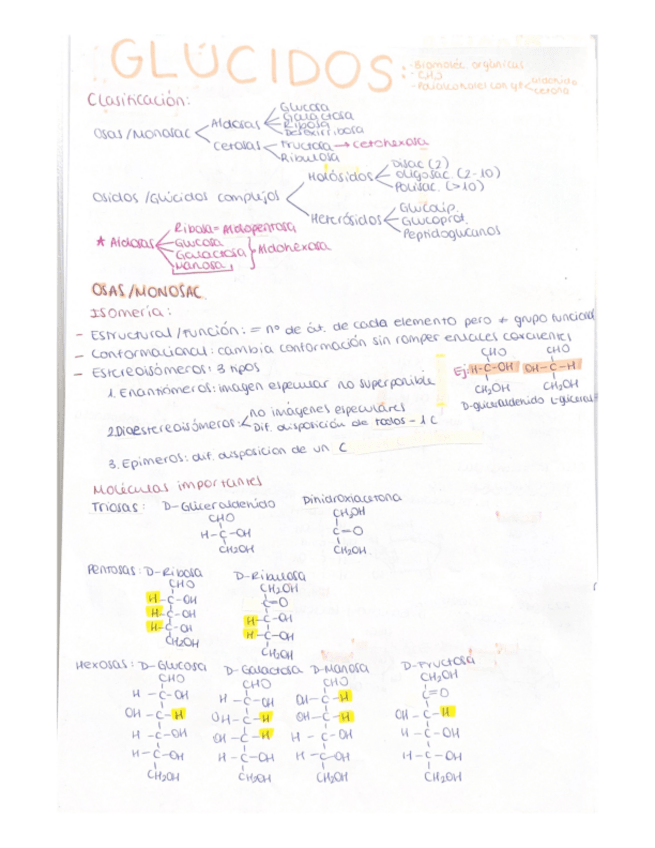 Miniatura del documento Glucidos.pdf