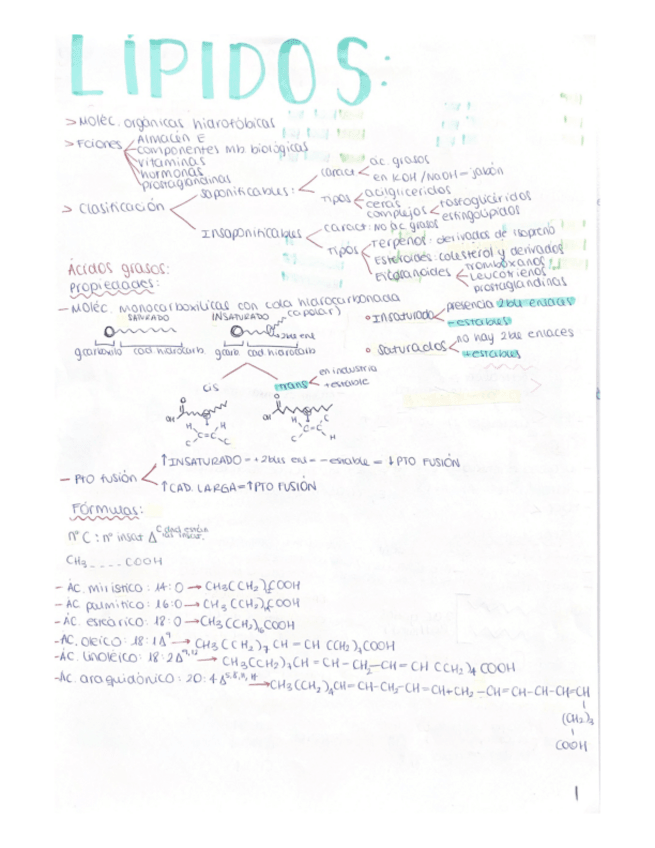 Miniatura del documento Lipidos.pdf