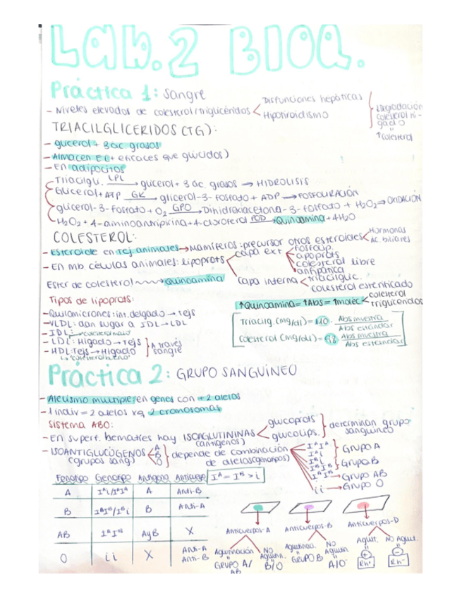 Miniatura del documento Practicas-2.pdf