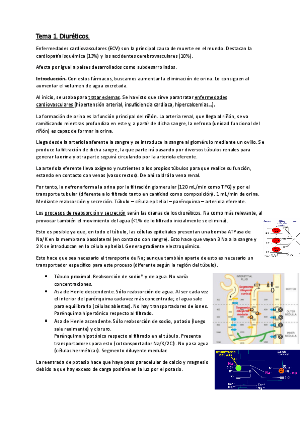 Miniatura del documento Diureticos-Tema-1.pdf