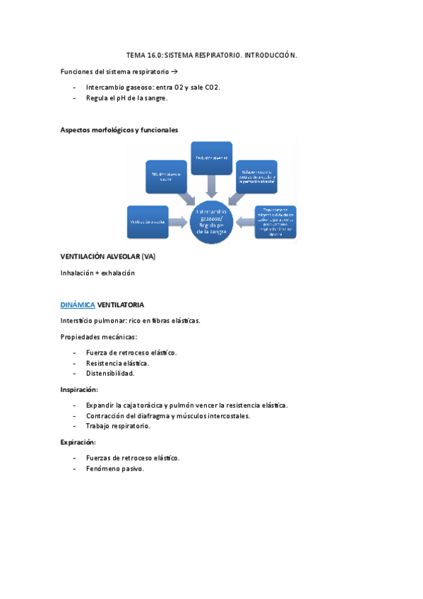 Miniatura del documento BLOQUE-IV-RESPIRATORIO.pdf
