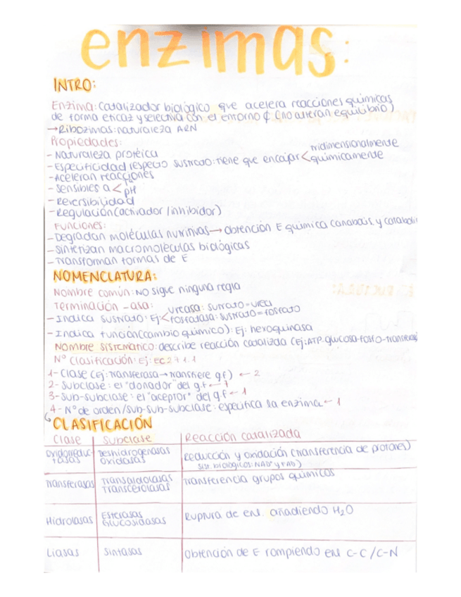 Miniatura del documento Enzimas.pdf