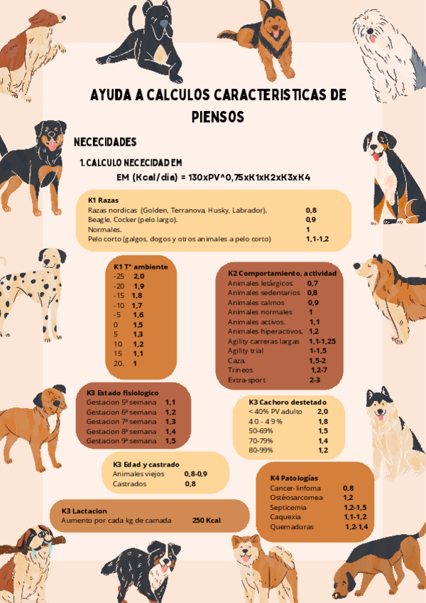 Miniatura del documento analisis-caracteristicas-piensos.pdf
