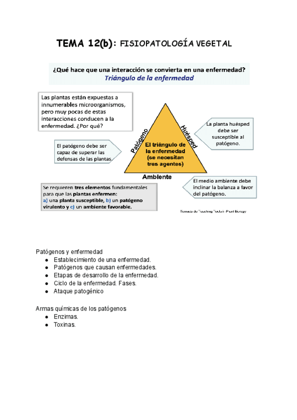 Miniatura del documento TEMA-12-b-Ecofisiologia-vegetal.pdf