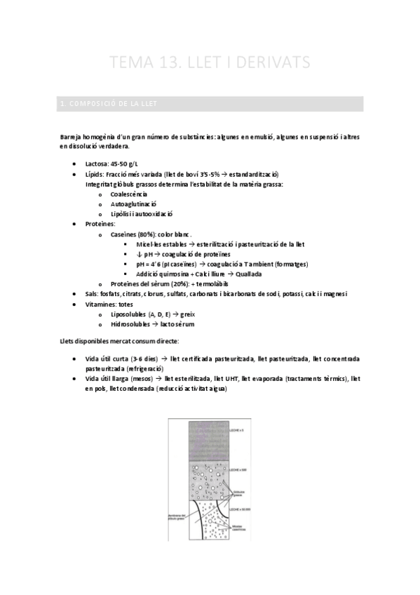 Miniatura del documento TEMA-13.-Llet-i-derivats.pdf