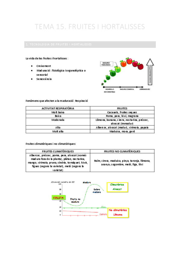 Miniatura del documento TEMA-15.-Fruites-i-hortalisses.pdf