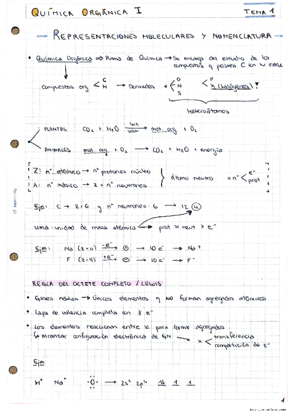 Miniatura del documento 1-Introduccion-quimica-organica.pdf