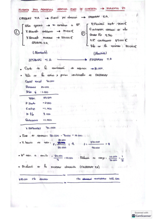 Miniatura del documento Fusion-por-absorcion.-Fondo-de-comercio.pdf