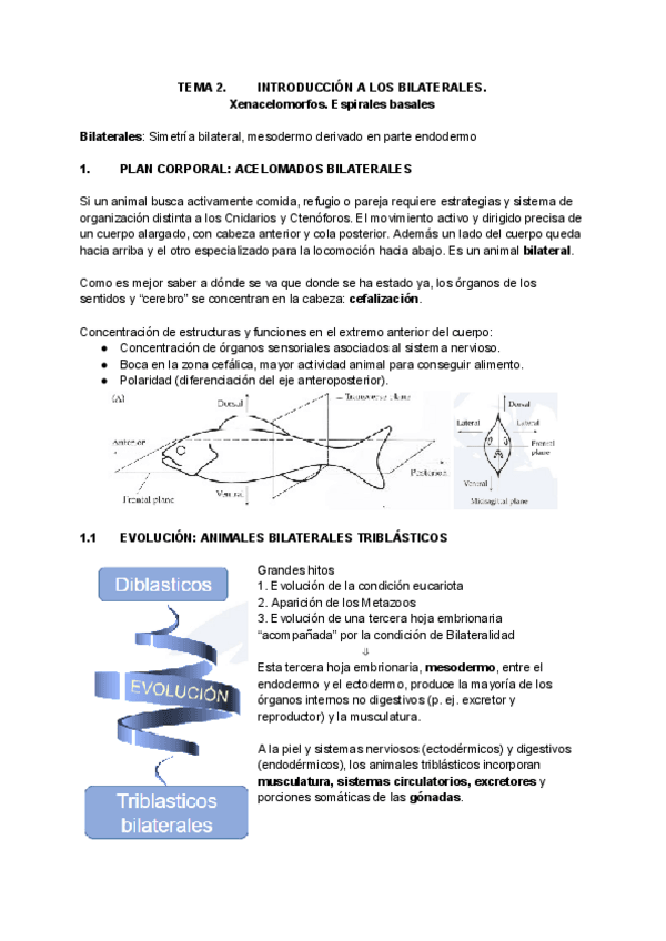 Miniatura del documento Tema-2-Zoologia-II.pdf