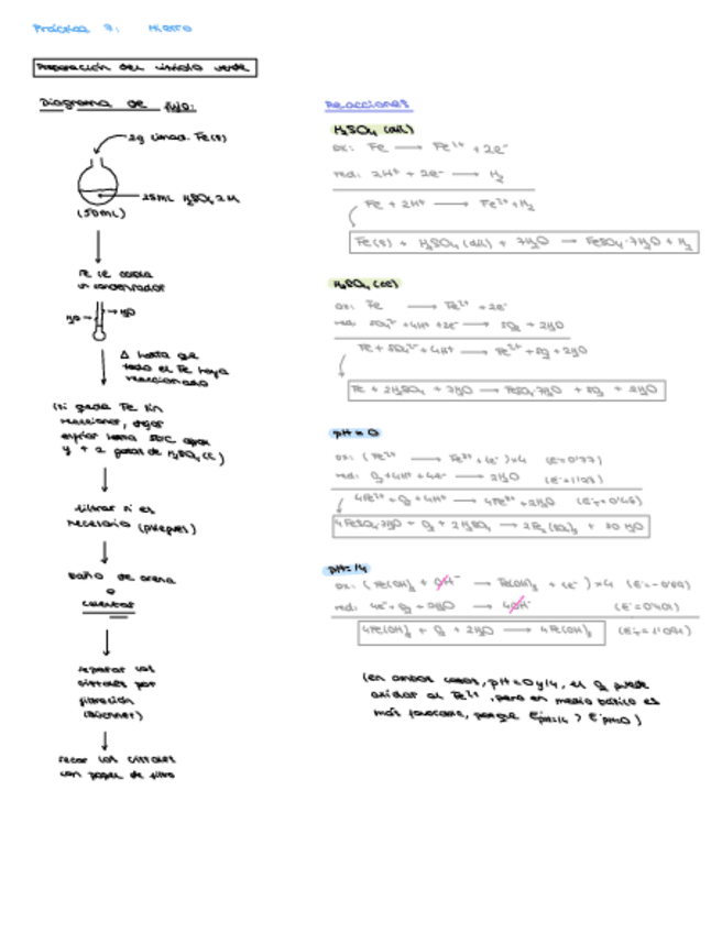 Miniatura del documento Practica-hierro.pdf