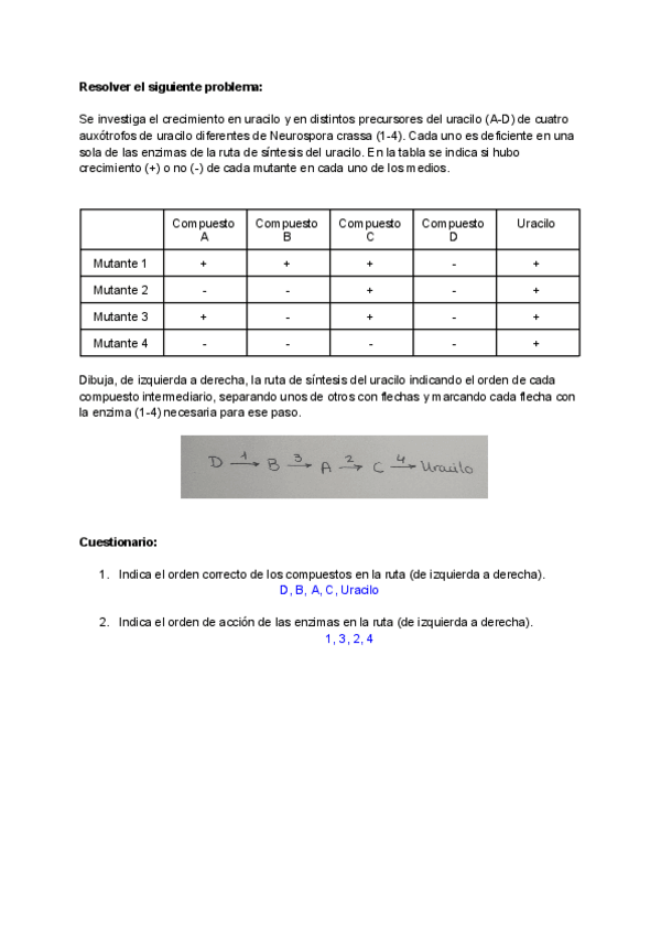 Miniatura del documento Test-Previo-T5-GEN-II.pdf