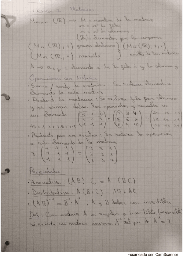 Miniatura del documento Tema-2-Matrices.pdf