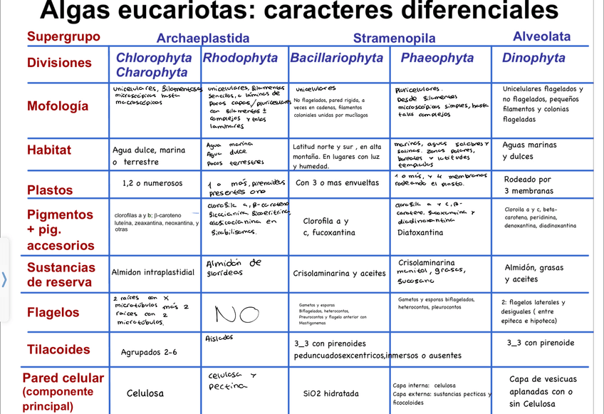 Miniatura del documento Tabla-de-algas..jpeg