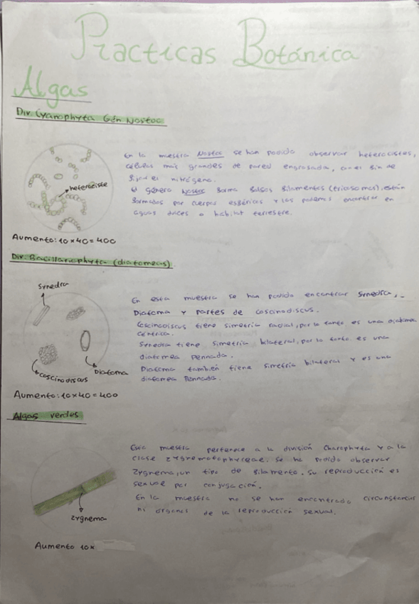 Miniatura del documento Practicas-primera-semana-Botanica.pdf