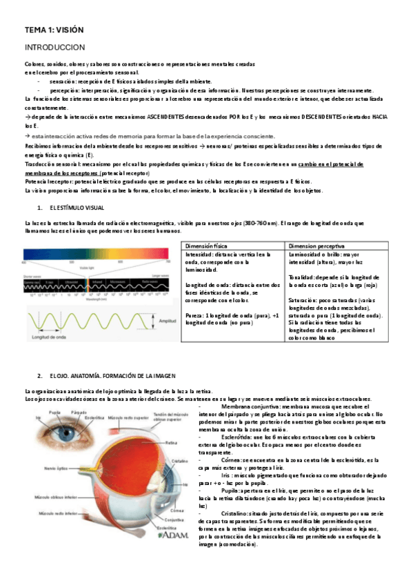 Miniatura del documento VISION-I.pdf